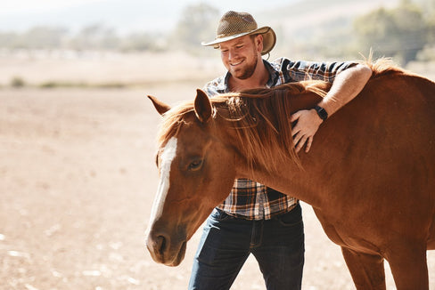 How Does Hyaluronic Acid For Horses Help Maintain Optimal Joint Health