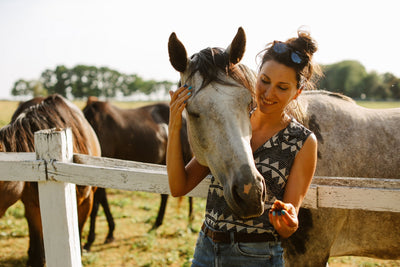 Horse Joint Supplement Guide for Sound, Strong Strides