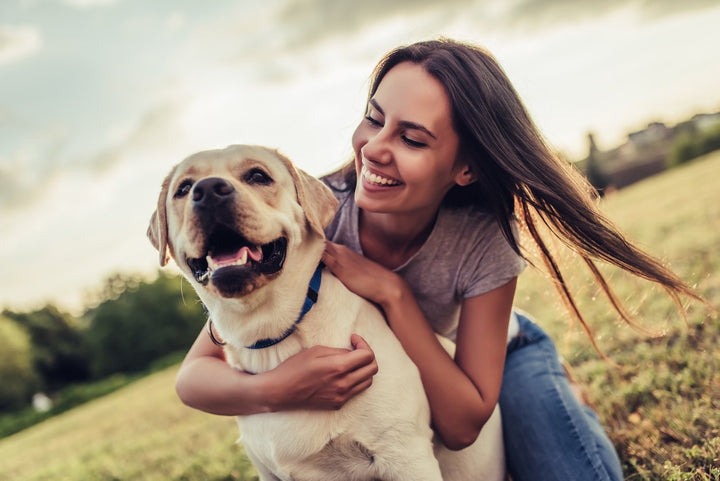 5 Reasons Why Dog Supplements Make for a Happier Dog