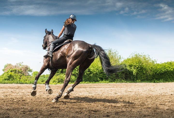 equine joint supplement