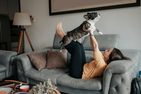 glucosamine chondroitin for dogs