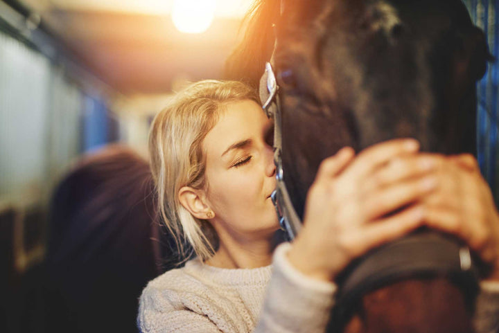 Equine Performance & Behaviour Monitoring | Tri-Acta Equine