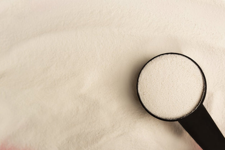 MSM Horse Supplement: Benefits, Dosage, FAQ & Top 4 Brands