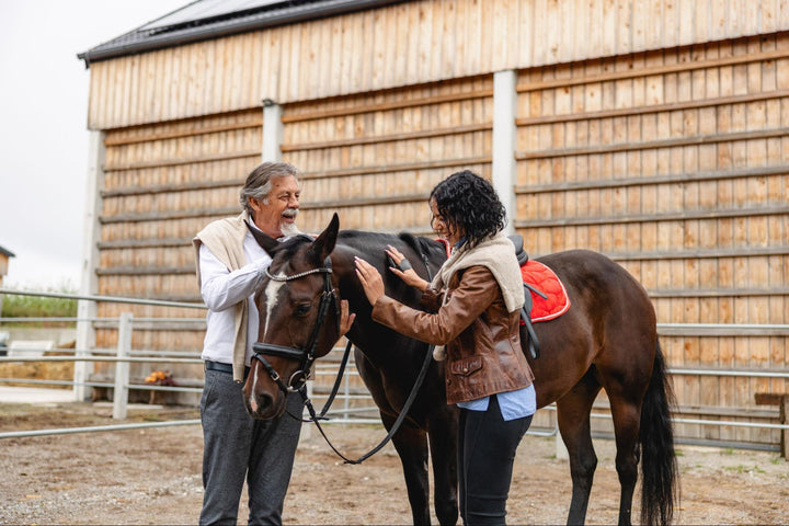 Horse Care: Tips for Keeping Your Horse Happy and Healthy