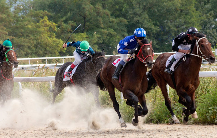 A Guide to Getting Your Performance Equine to Shine Like a Star