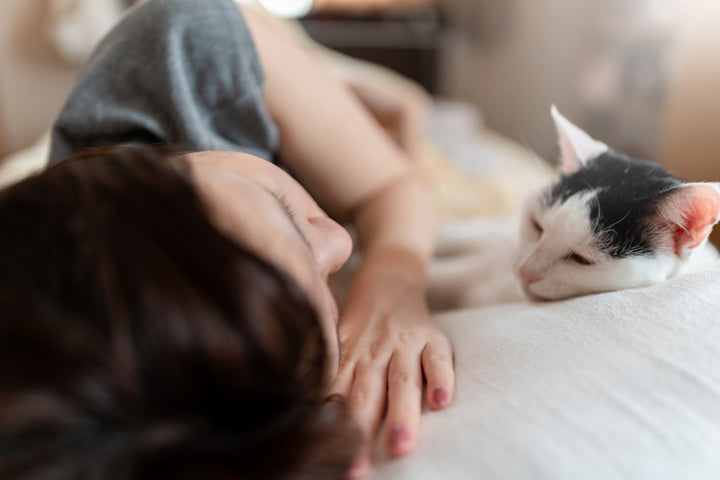 What You Need to Know About Cat Pain Management [Symptoms & Treatment]