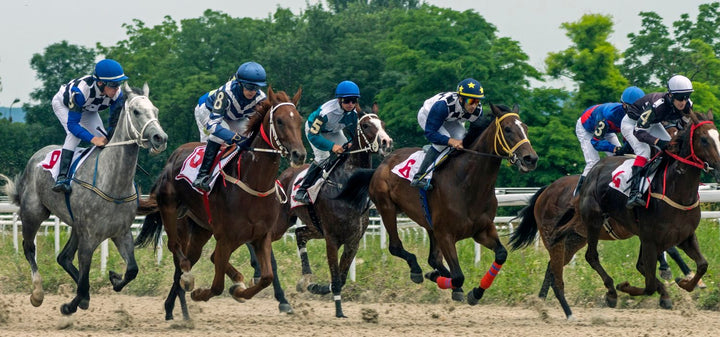 Top 5 Tips to Prepare for Quarter Horse Racing