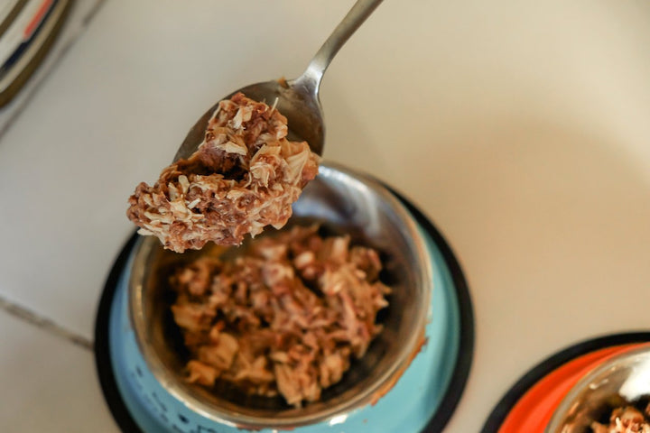 Should You Adopt a Raw Cat Food Diet for Your Fur Baby?