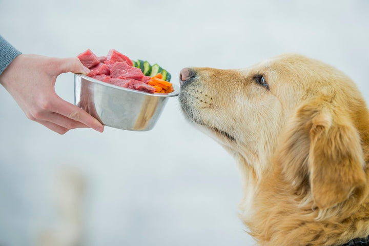 Raw Diet For Pets: Myths, Facts, and Nutritional Values of Raw Food