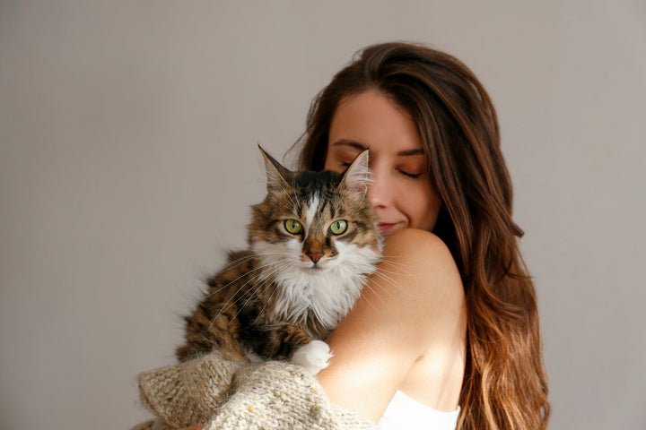 Taking Care of Your Cat: Feline Health Considerations