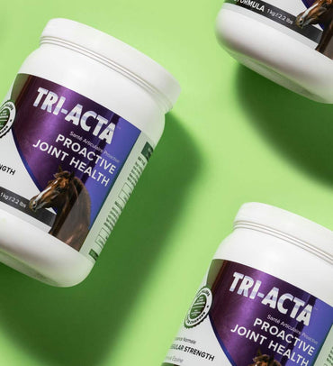 tri-acta for equine supplement