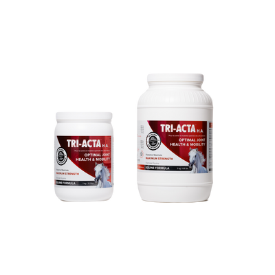 TRI-ACTA H.A. for Equine