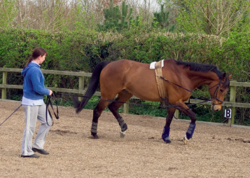 8. Check Movement and Comfort