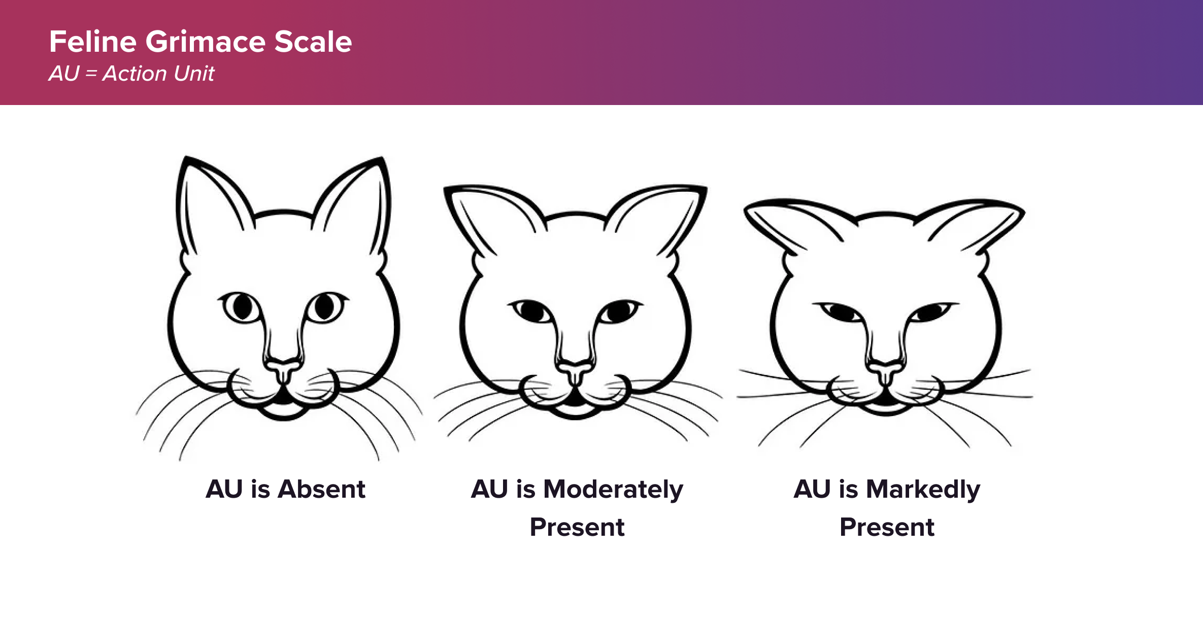 Feline Grimace Scale