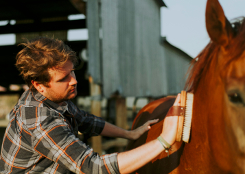 Horse Grooming Kit