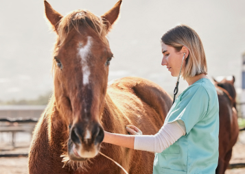 Horse Health Considerations
