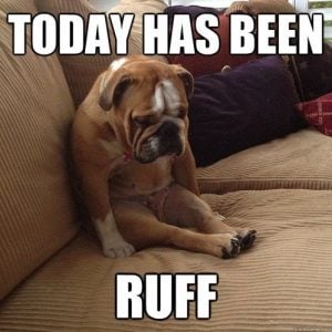 ruff day