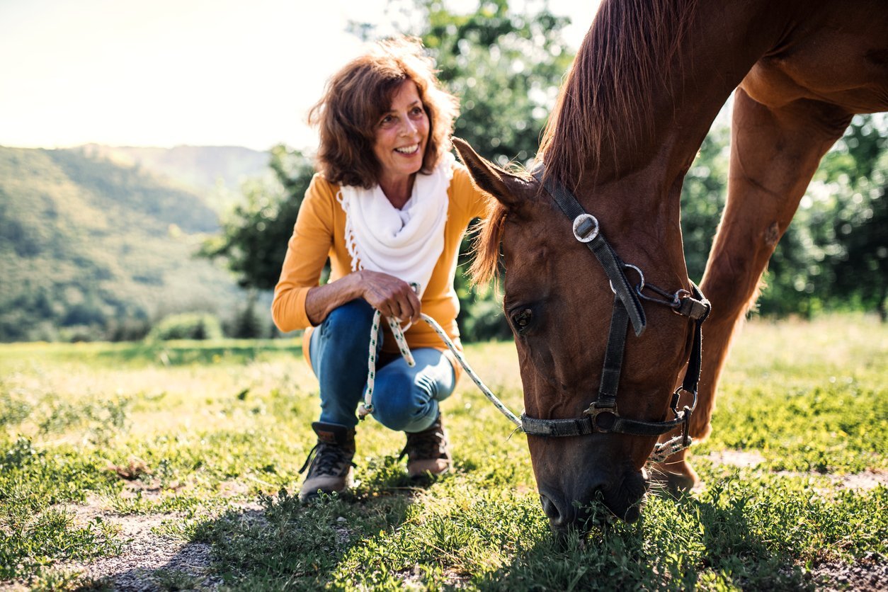 equine nutrition