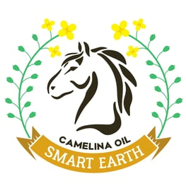 camelina oil