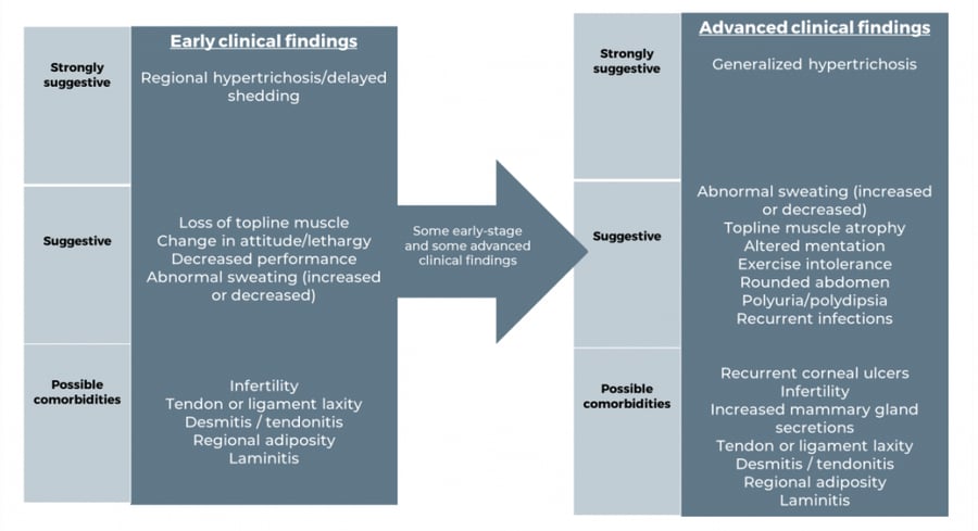 PPID diagnosis pathways
