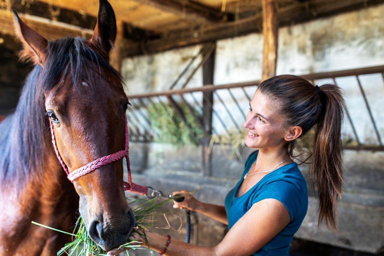 balanced equine nutrition