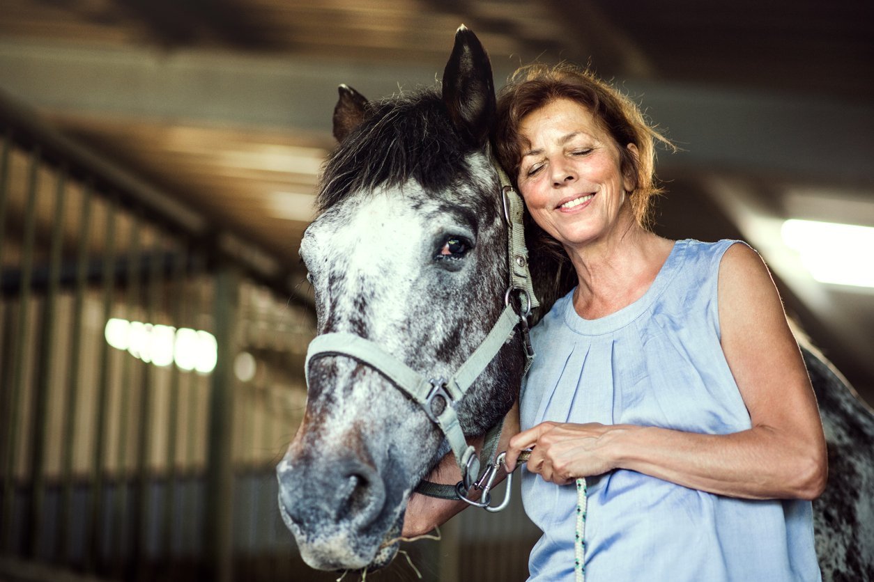 care for aging horses