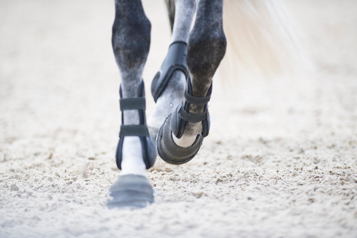 corrective horse shoes