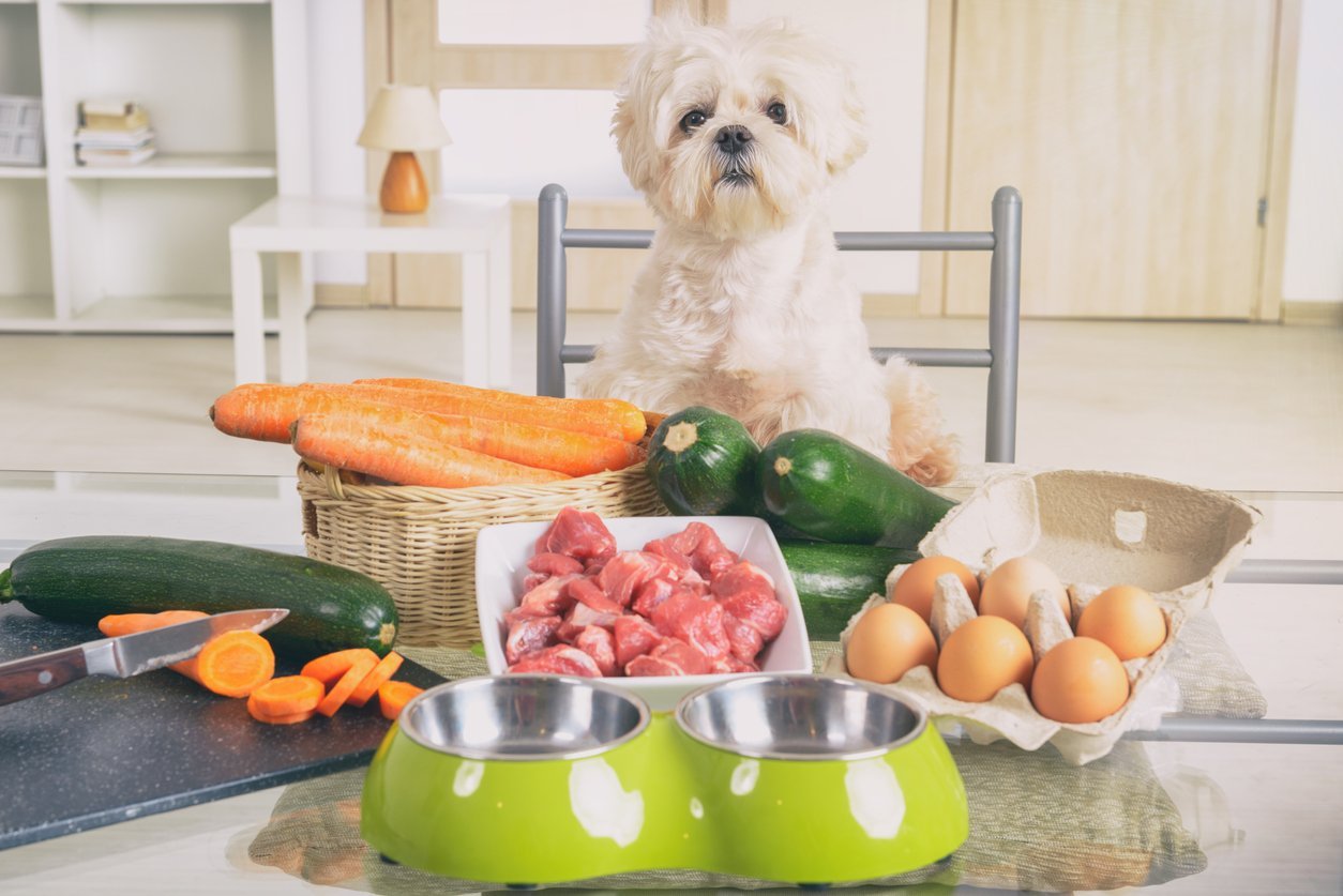 dog safe fruits and veggies