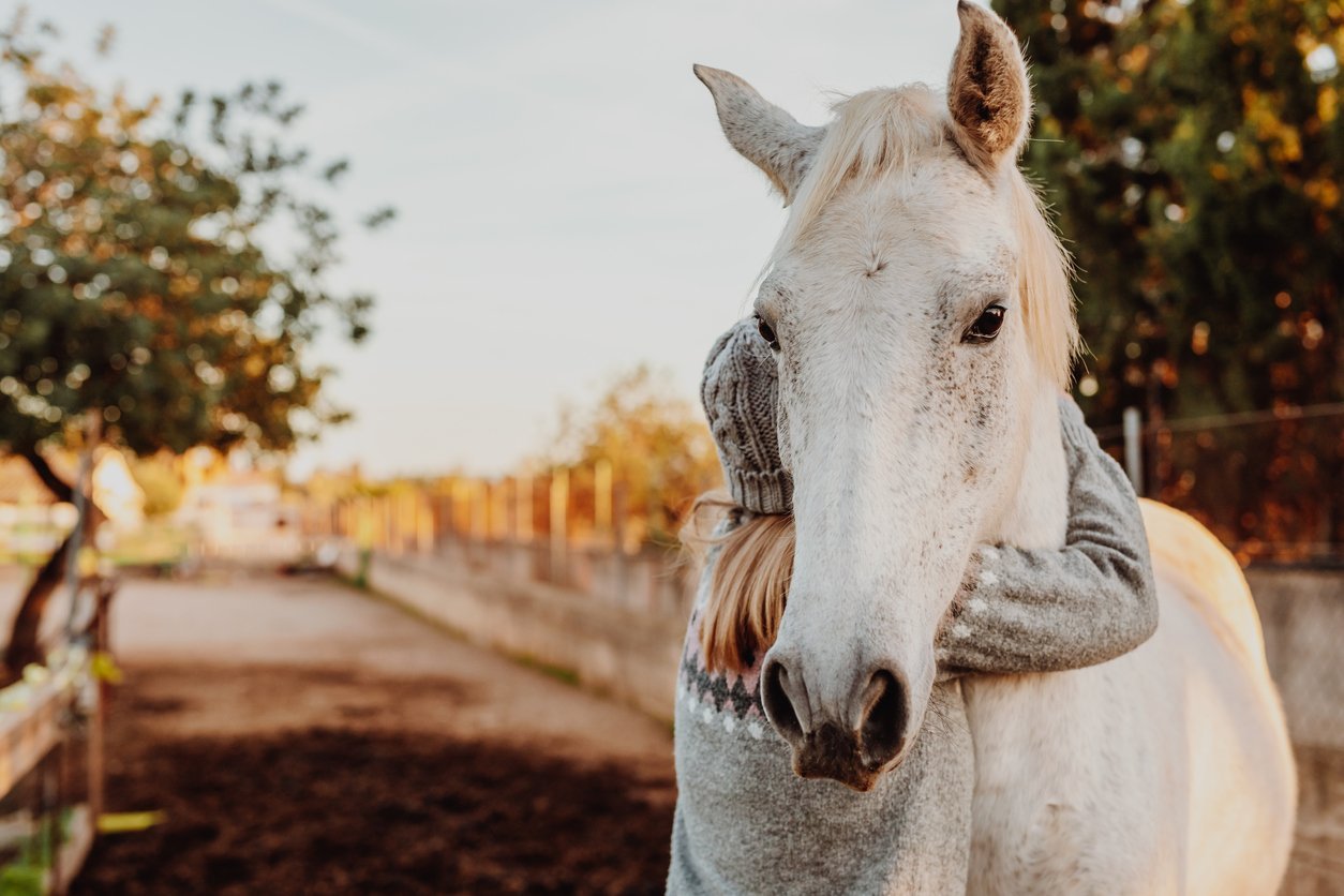 cushings disease in horses