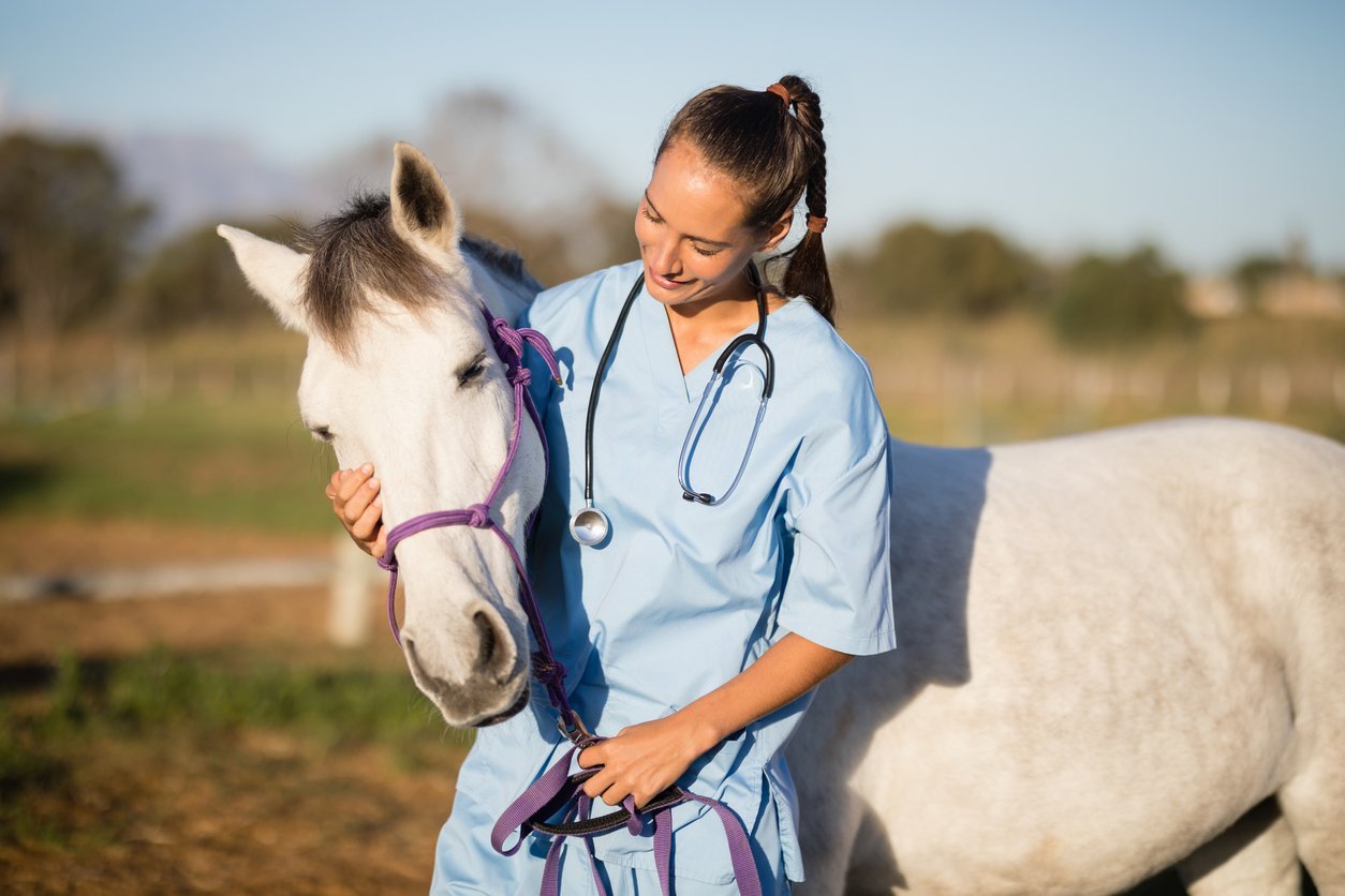 horse health