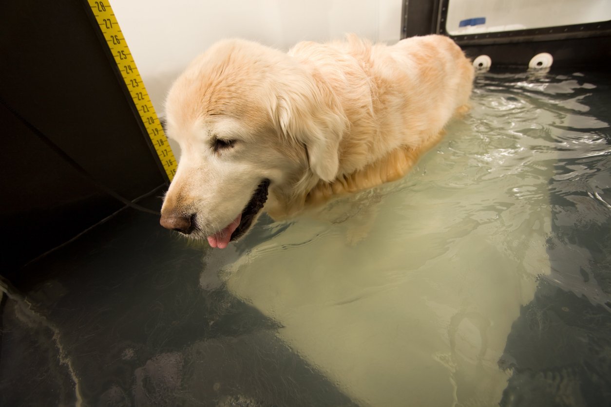 hydrotherapy