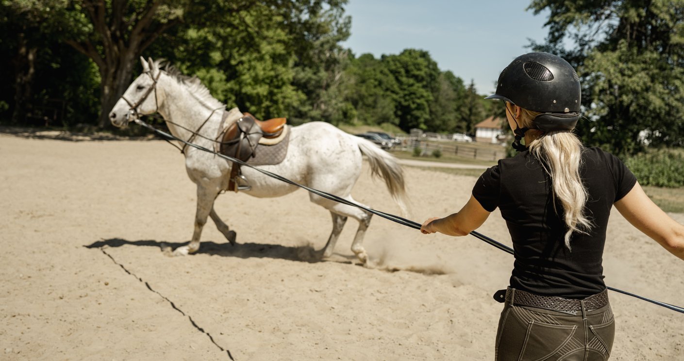 locking stifle exercises