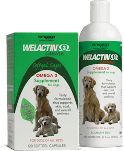 Omega 3 for online dogs side effects