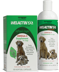 welactin fish oil for dogs