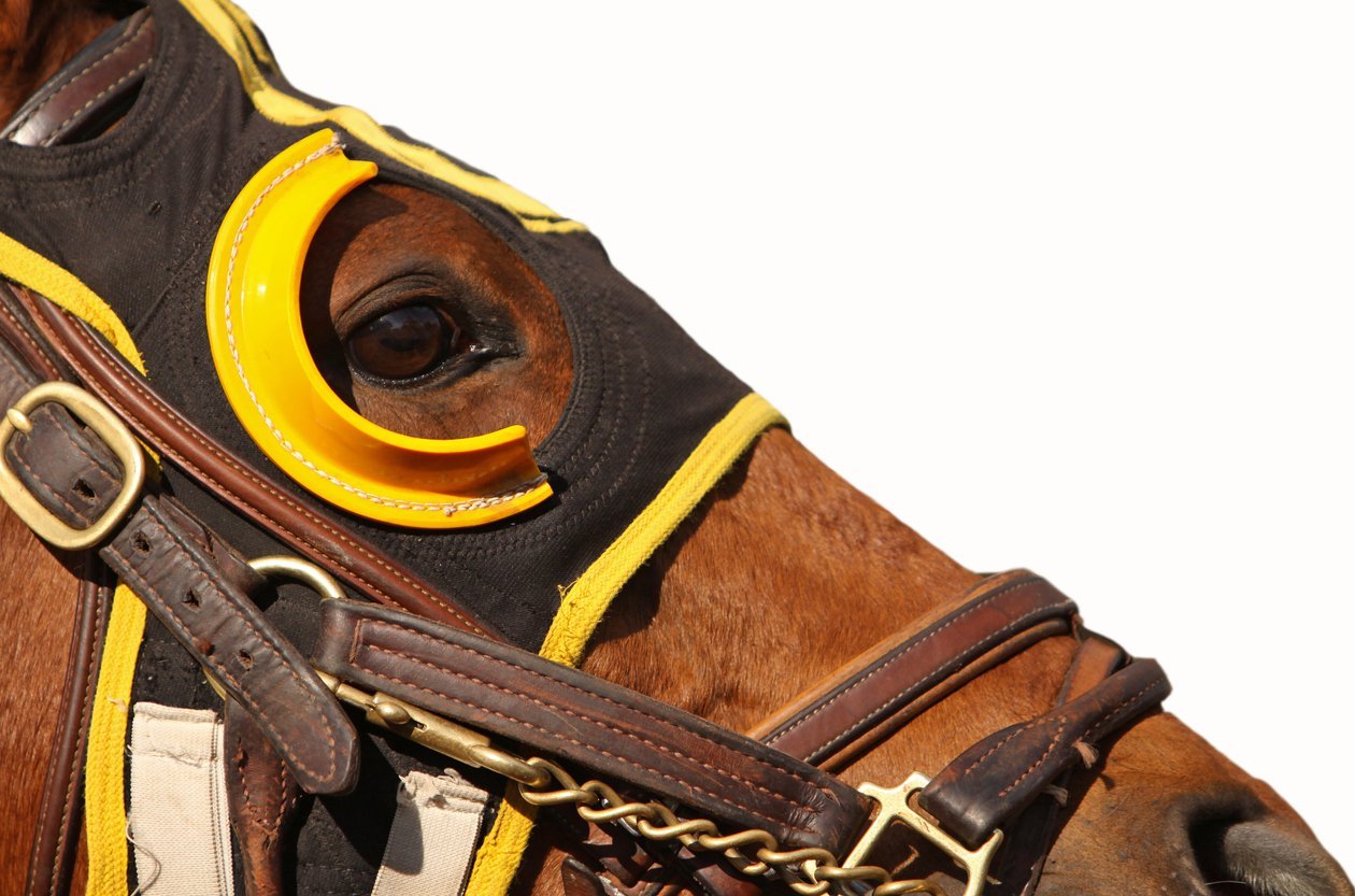 quarter horse racing equipment