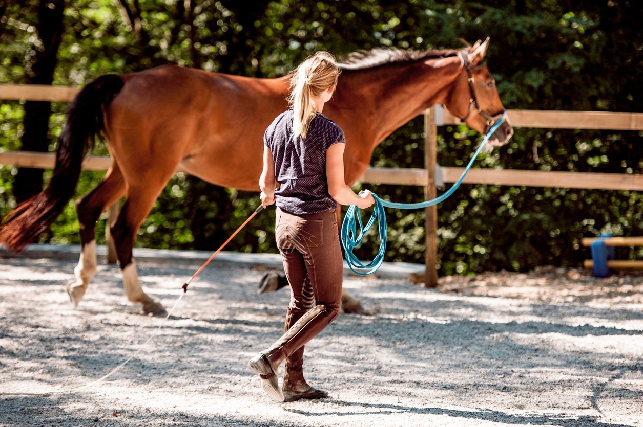sacroiliac horse pain prevention
