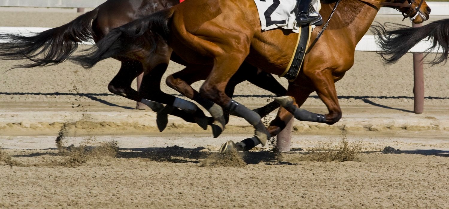 sport-horse-racing-competition