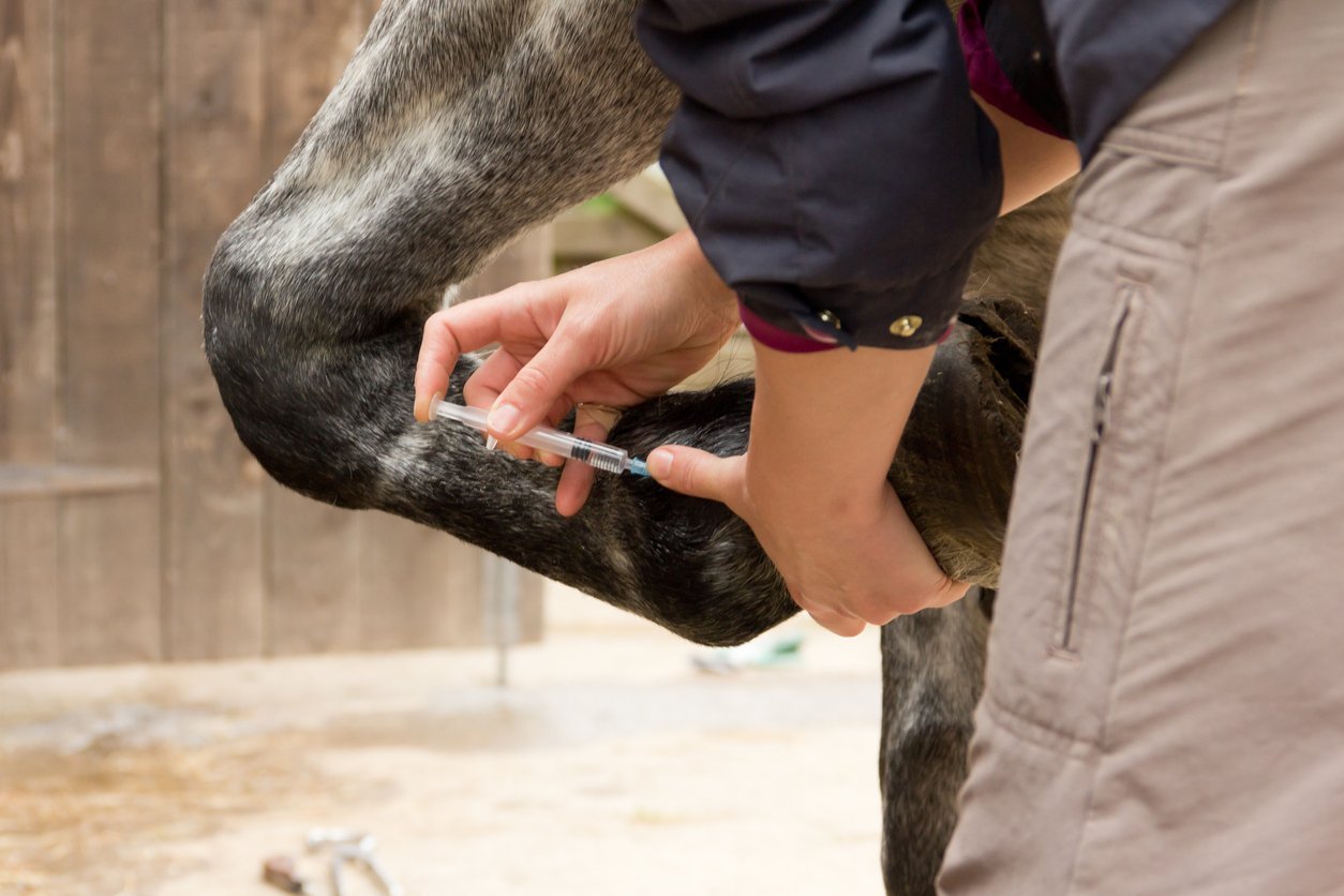 suspensory ligament treatment