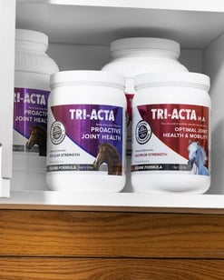 tri-acta regular and H.A. for equine
