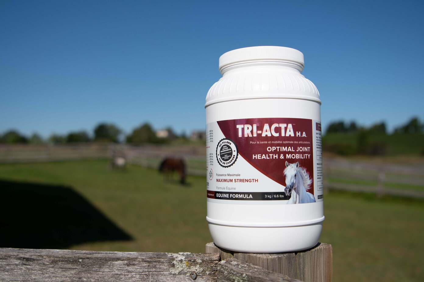 triacta ha for equine