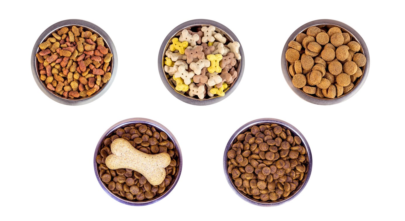 Types of dog clearance food