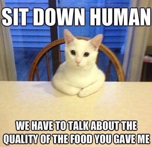 cat food quality