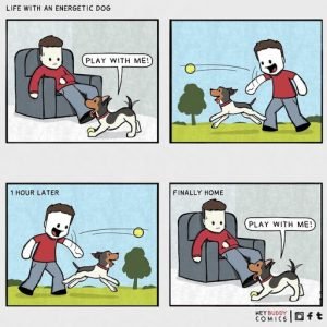 old dog comic