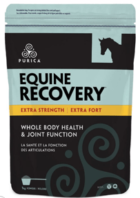 Purica Equine Recovery