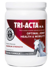 TRI-ACTA H.A. for Equine