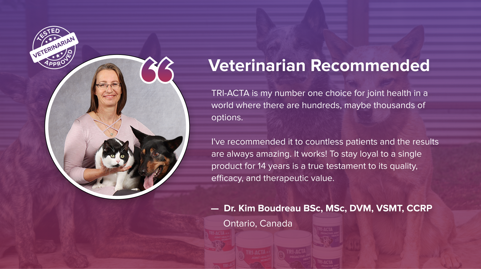 Testimonials from Veterinarians and Reputable Pet Owners