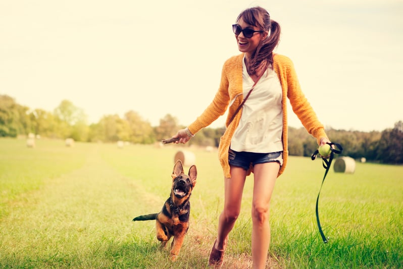 active german shepherd puppy with owner