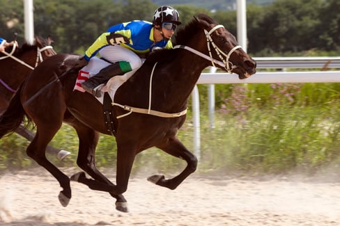 choosing a good race horse trainer