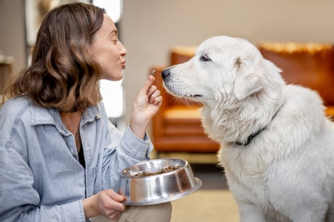 5 Best Glucosamine Supplements for Dogs