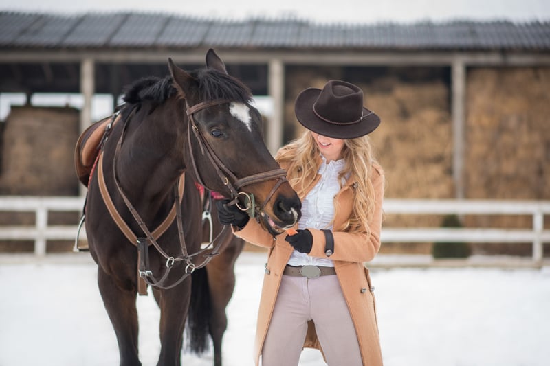 Hiring Professional Saddle Fitters